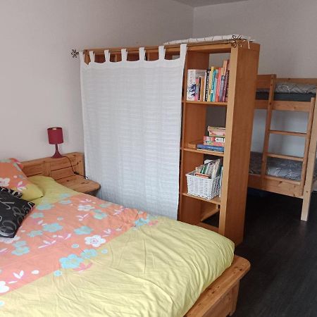 Vitre Centre Ville Bel Appartement A Decouvrir Экстерьер фото